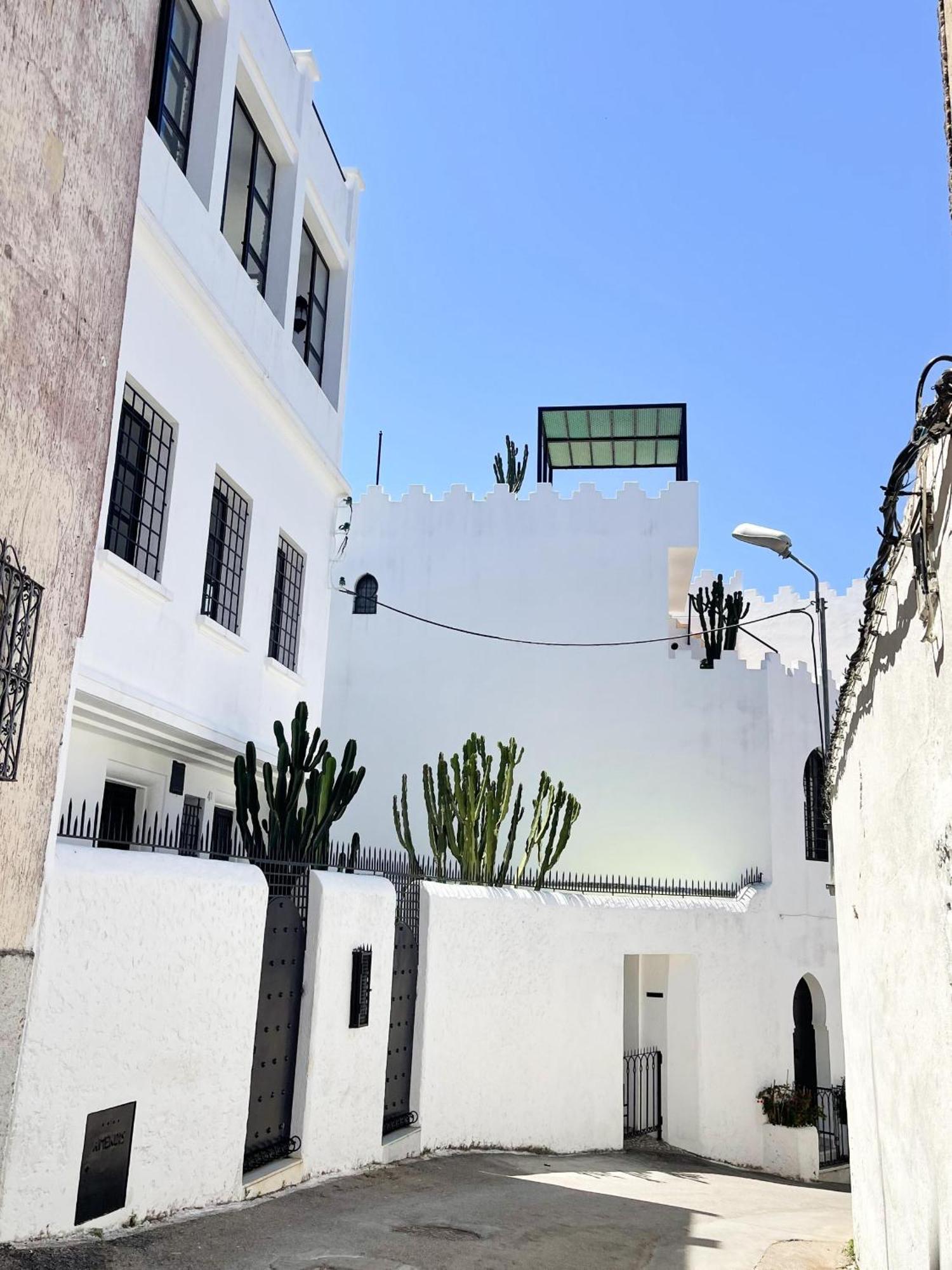 Black Cactus Marshan Medina Tanger